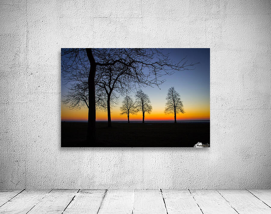 Trees II Wall Preview