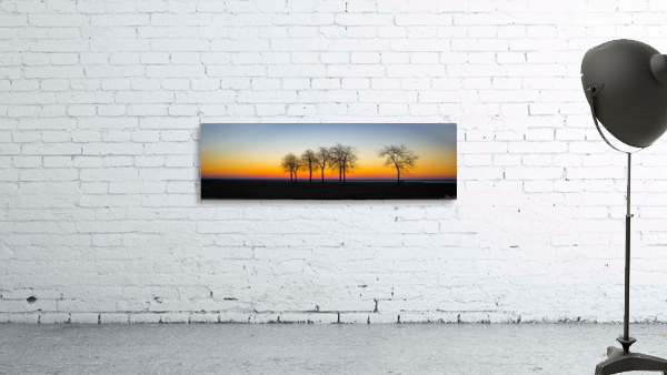 Trees III Wall Preview