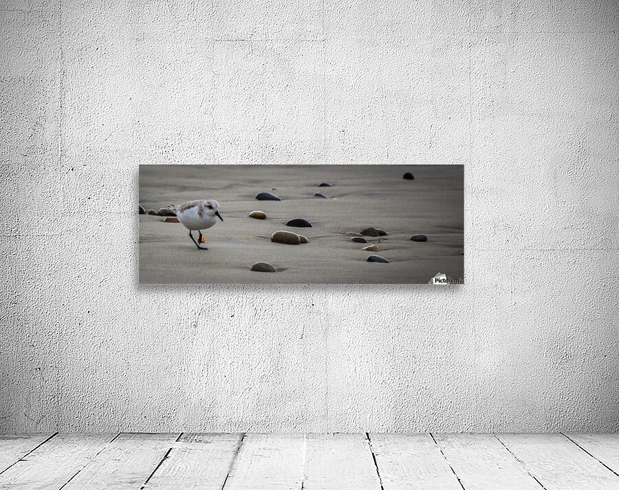 Bird V Wall Preview