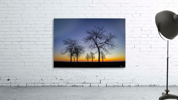 Trees I Wall Preview