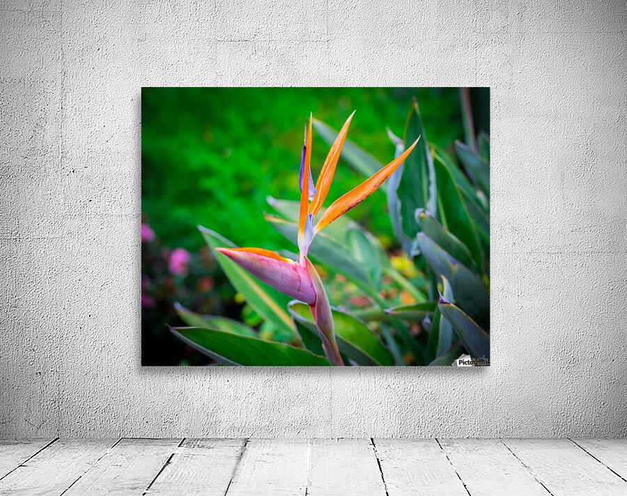 Hello There Wall Preview