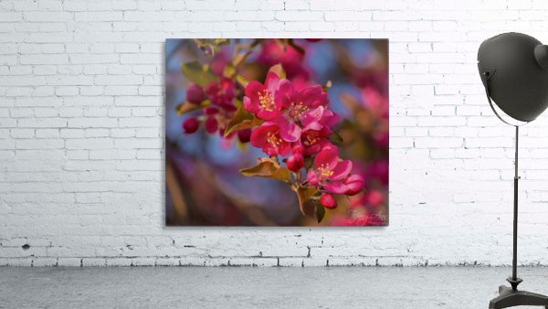 Delicate Pink Wall Preview
