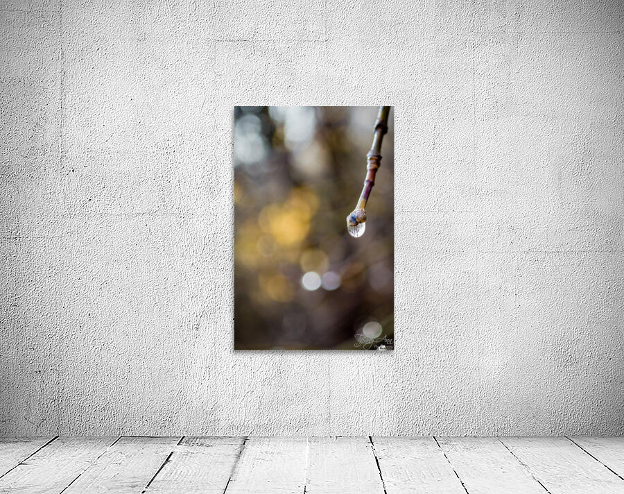 Winters Tear Wall Preview