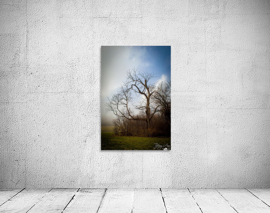 Stand Out Wall Preview