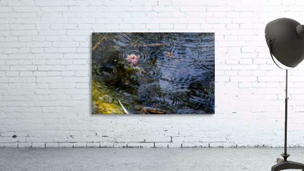 Rain Drops Wall Preview