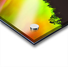 Northern Lights Acrylic print