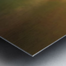 SKYS ON fIRE Metal print