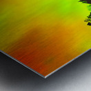 Northern Lights Metal print