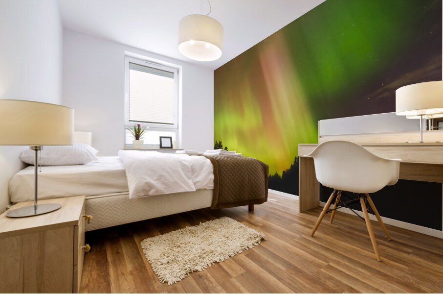 SKYS ON fIRE Mural print