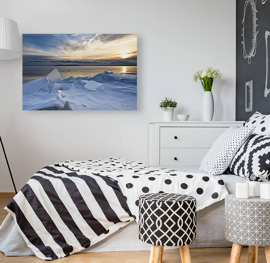 Ice and Snow Reproduction