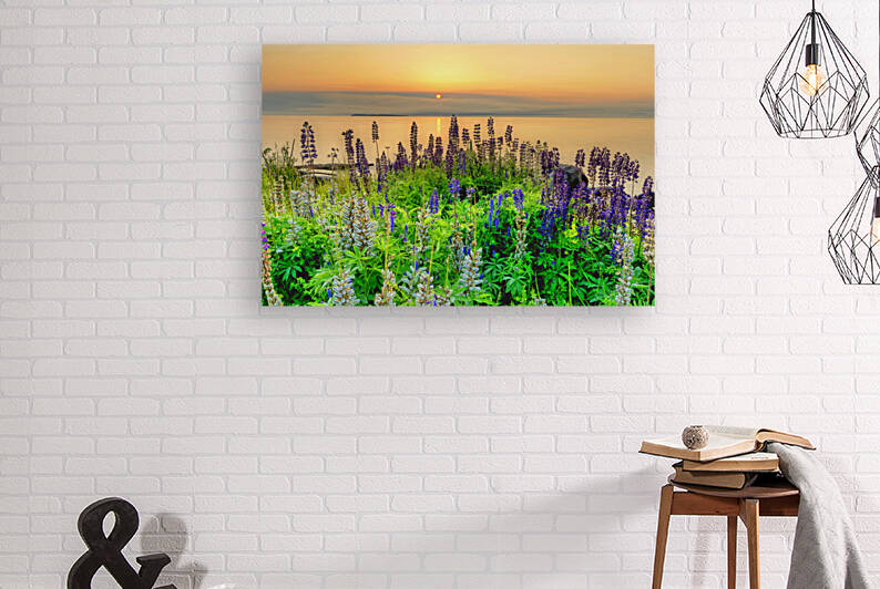 Lupin Sunrise-Sleeping Giant by Denis Bresolin Photography