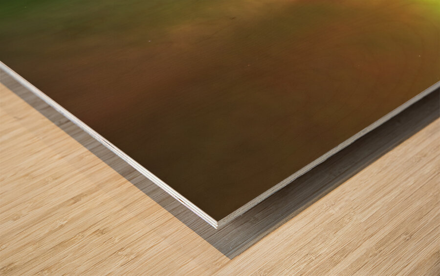 SKYS ON fIRE Wood print