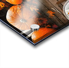 Orange pumpkins on table Acrylic print