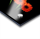 More orange Acrylic print