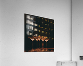 Seeing double II  Acrylic Print