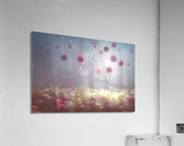 Soft wind Acrylic Print
