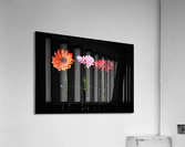 Orange pink red Acrylic Print