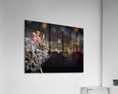 Reaching out Acrylic Print