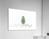 Gold and white Acrylic Print