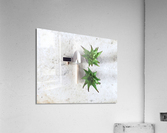 Garden Tools Acrylic Print