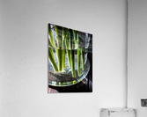 Green stems Acrylic Print