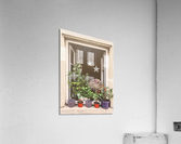 Plants galore Acrylic Print