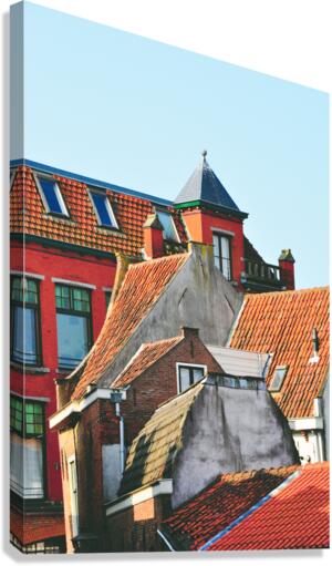 Up on the roof Canvas Print