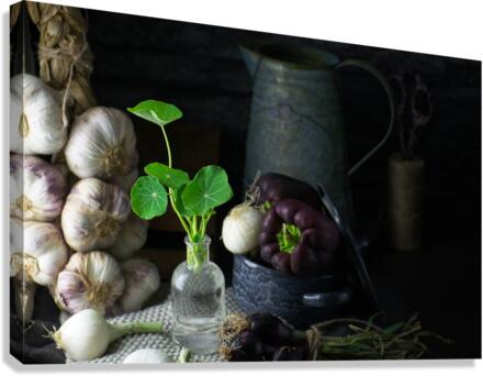Purple vegetables II Canvas Print