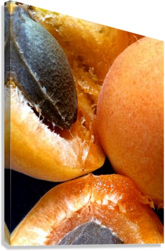 Ready To Eat Canvas Print