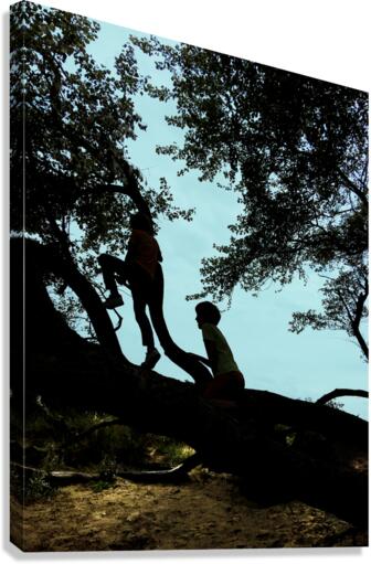 Up in the tree I Canvas Print