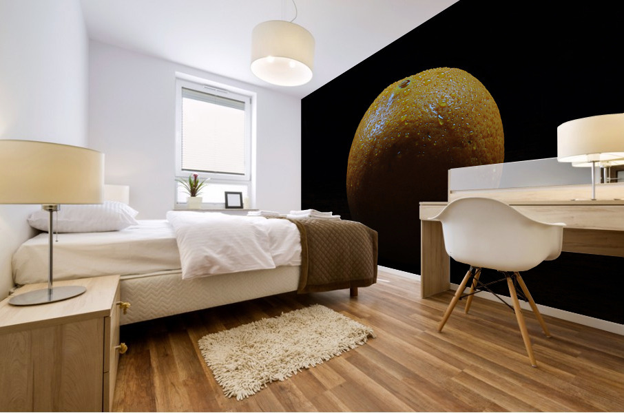 Orange Mural print