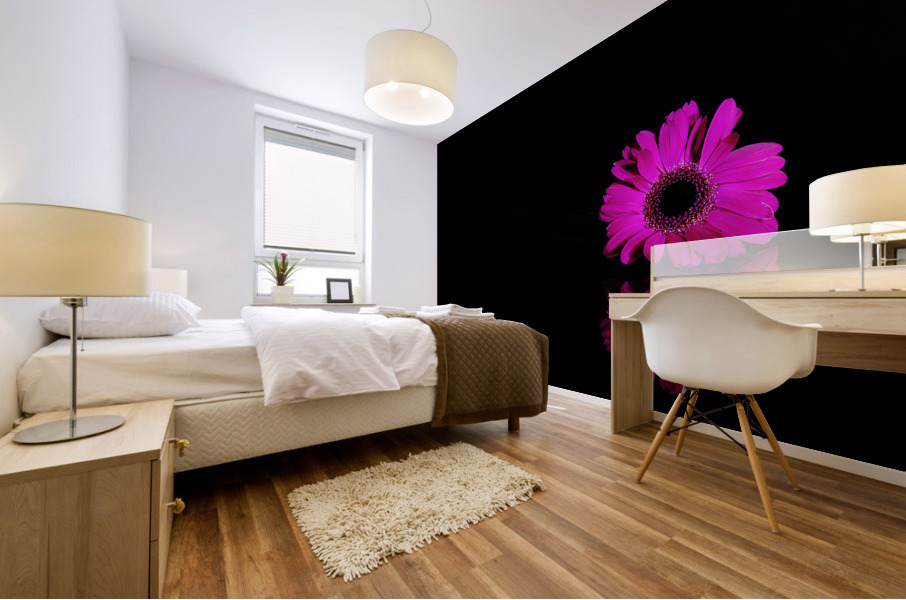 Pink gerbera Mural print