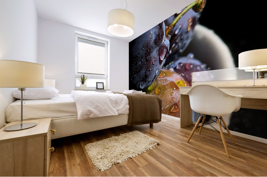 Fresh Plums Mural print