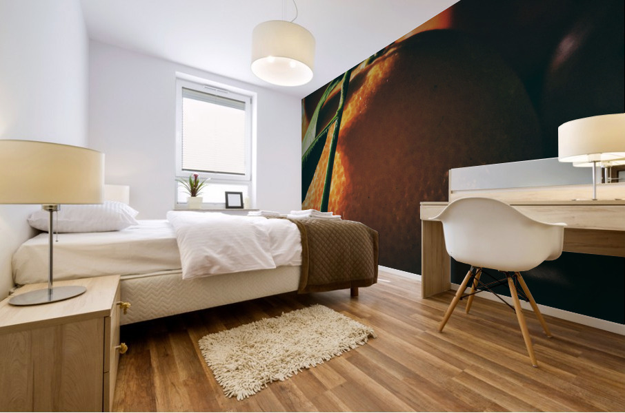 Tangerine I Mural print