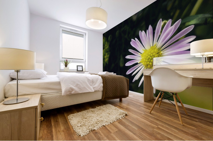 Daisies I Mural print