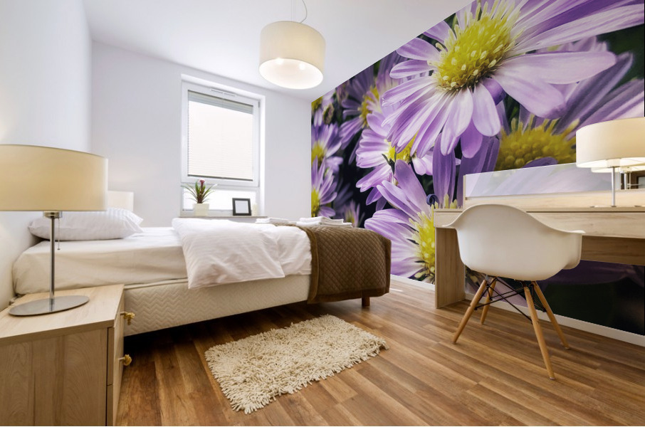 Daisies II Mural print