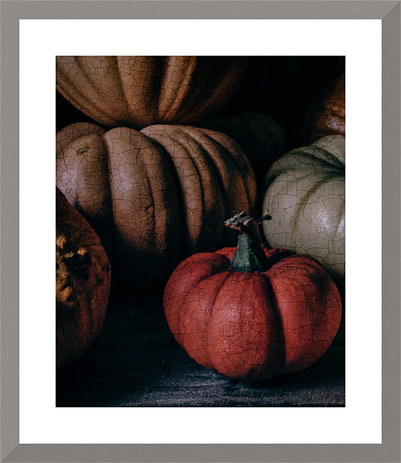 Pumpkins on dark background I Picture Frame print