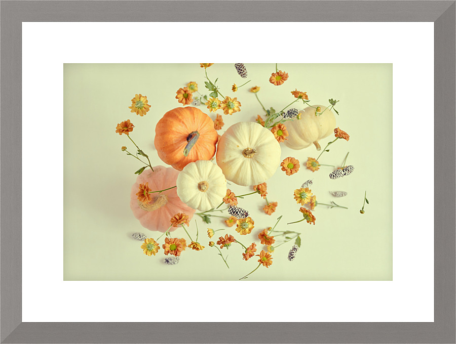 Floating pumpkin I  Picture Frame print