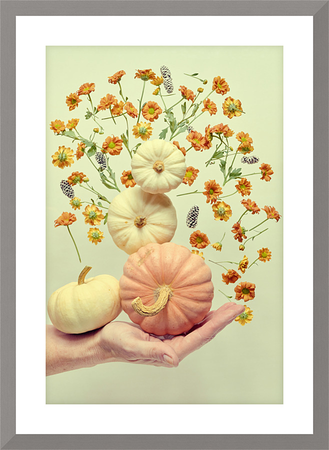 Floating pumpkin II Picture Frame print