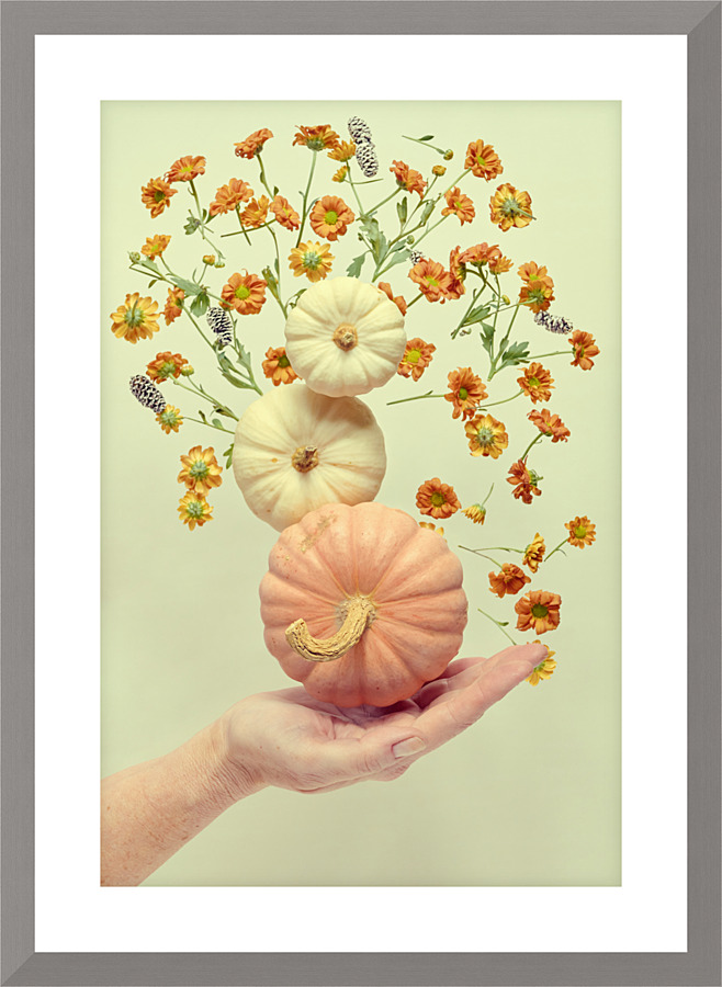 Floating pumpkin III Picture Frame print