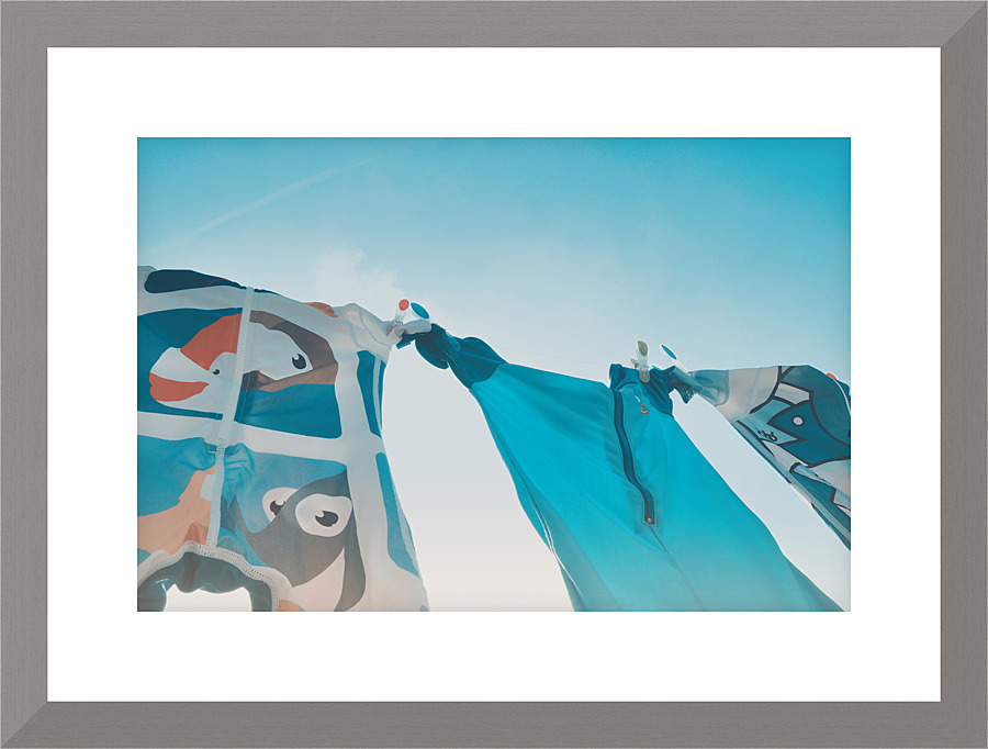 Swim suits II Picture Frame print