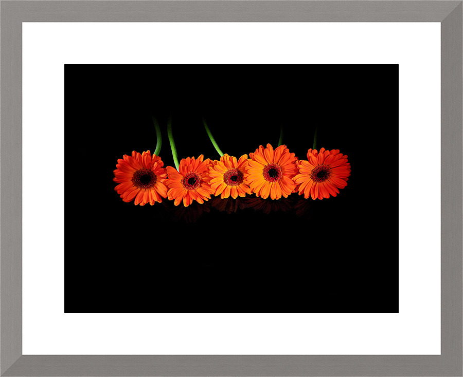 More orange Picture Frame print