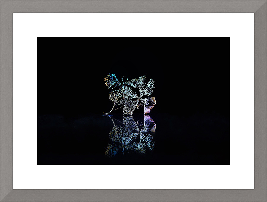 Disco queen Picture Frame print