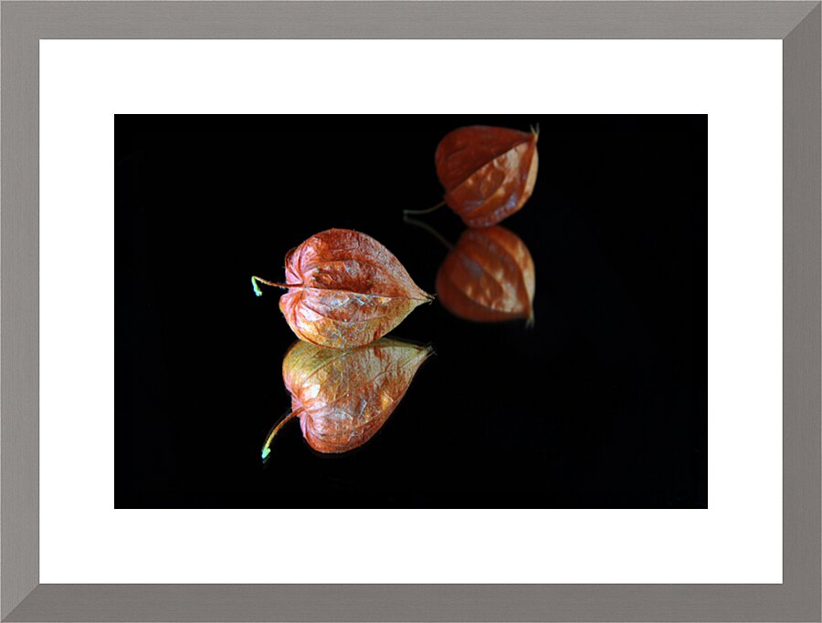 Twin sisters Picture Frame print