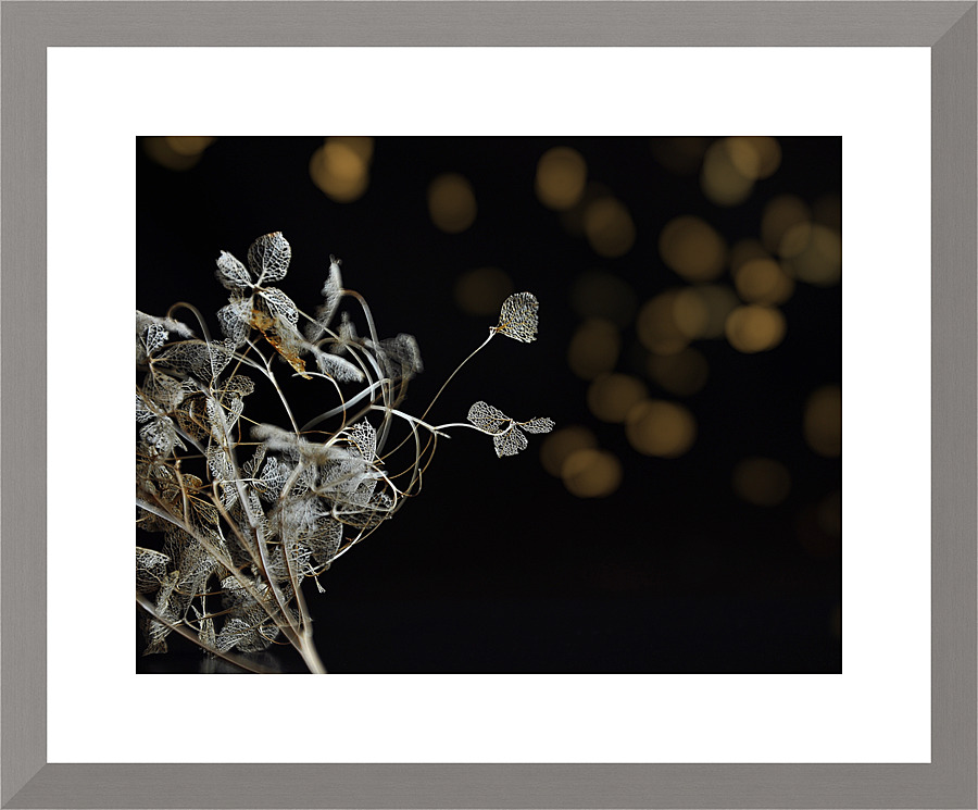 Reaching out Picture Frame print