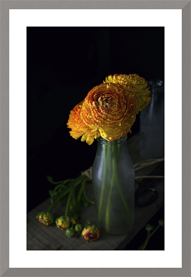 Ranunculus IV Picture Frame print