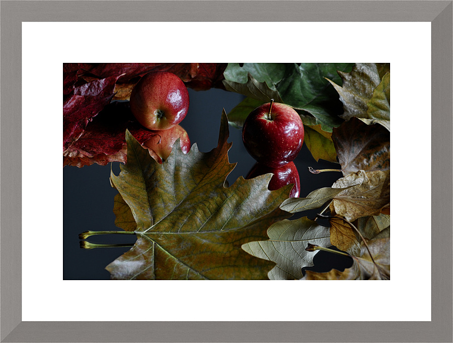 Apple and leaf Picture Frame print