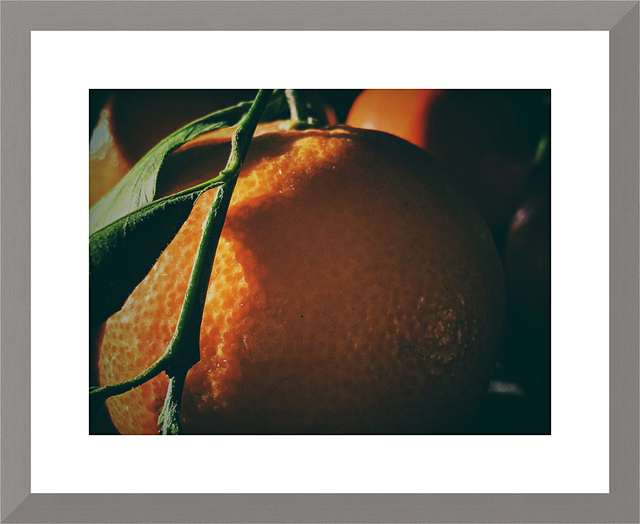 Tangerine I Picture Frame print