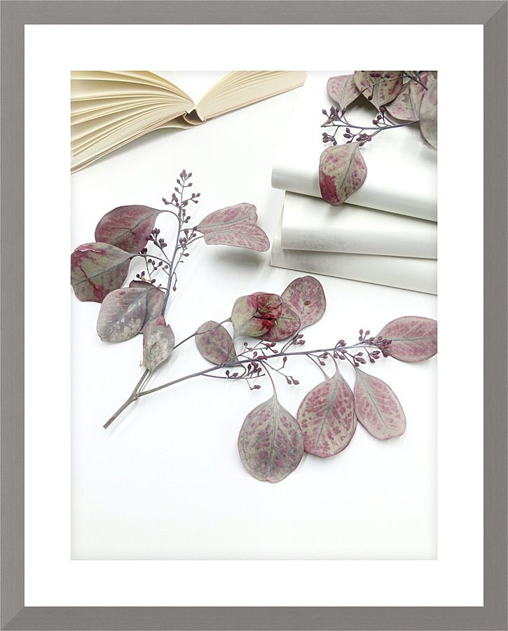 Botanical II  Picture Frame print