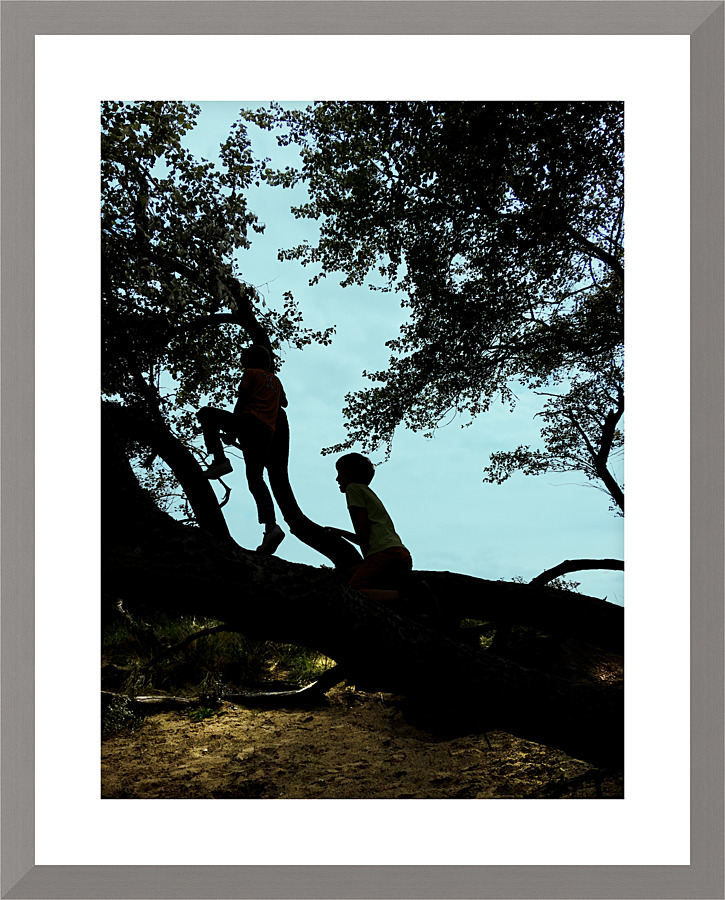 Up in the tree I Picture Frame print